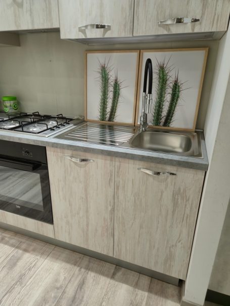 Moderne keuken met een gasfornuis, spoelbak en twee groene posters van cactussen.