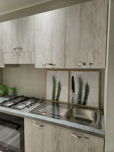 Moderne keuken met houten kasten, spoelbak en decoratieve cactusprints.